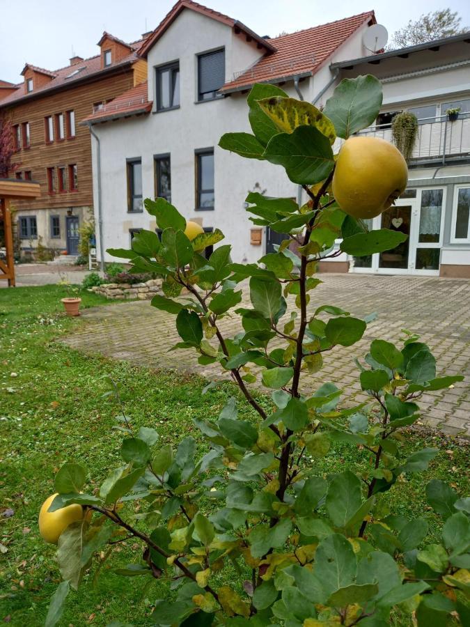 Ferienwohnung Antik Gotha Esterno foto